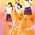 5sailorvenus