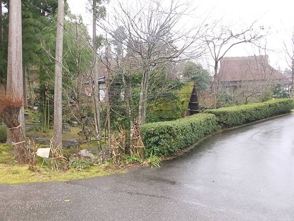 DSCF0407.JPG DSCF0407.JPG