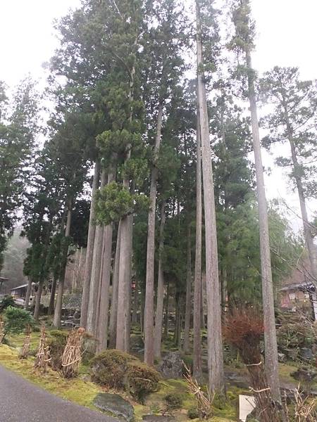 DSCF0408.JPG DSCF0408.JPG