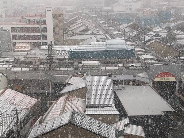 DSCF0425.JPG DSCF0425.JPG