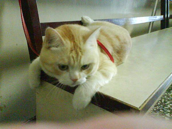 DSC00033 DSC00033