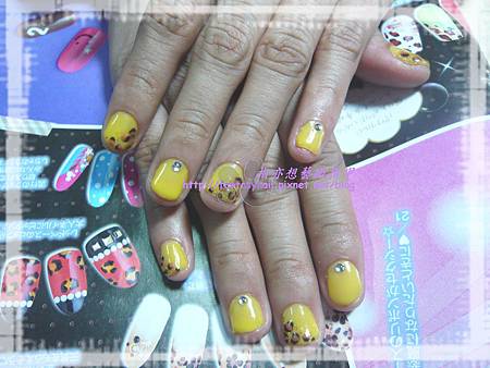P1070555 P1070555