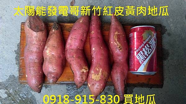 IMAG7377.jpg IMAG7377.jpg