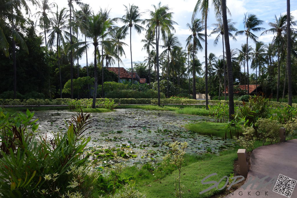 DSC04560 DSC04560