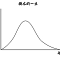 樹木的一生1