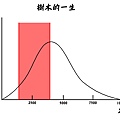 樹木的一生2