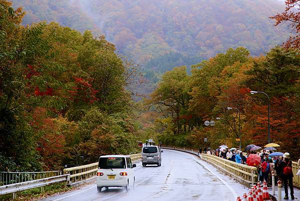 2018年日本東北賞楓自駕遊~仙台鳴子峽