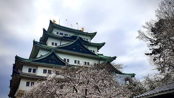 [遊記] 2023日本賞櫻自由行～名古屋城、金鯱橫丁