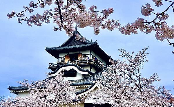 [遊記] 2023日本賞櫻自由行～犬山城、犬山城下町