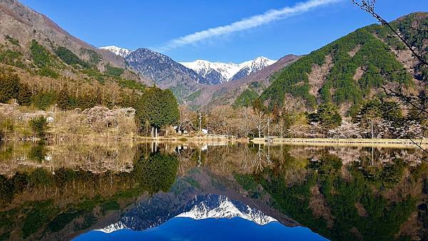 2023日本賞櫻自由行～高遠城