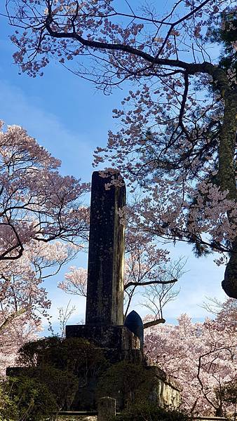 2023日本賞櫻自由行～高遠城