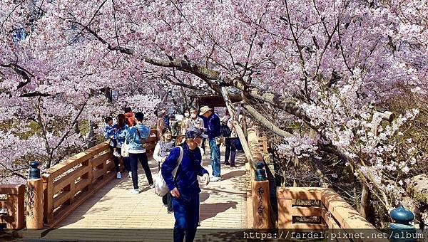 5527C8E1-3543-4A80-B2BC-8693132B6DE8_1_201_a拷貝.jpeg 5527C8E1-3543-4A80-B2BC-8693132B6DE8_1_201_a拷貝.jpeg