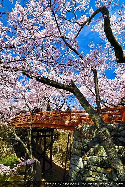 DV1A8008拷貝.JPG DV1A8008拷貝.JPG