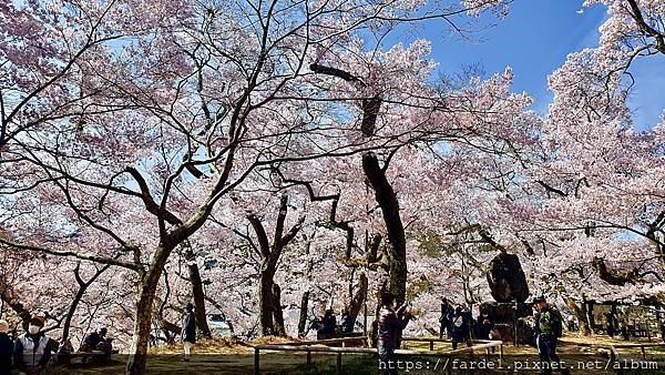 20230404_092844拷貝.jpg 20230404_092844拷貝.jpg