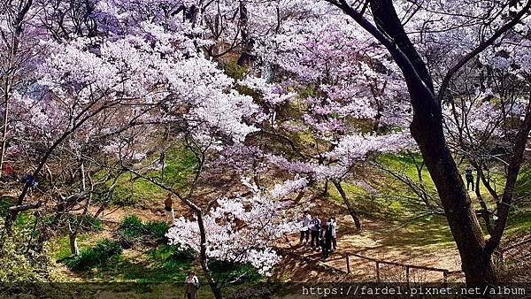 8D4D2D96-9CFC-47C3-939C-DD373D63B1AE_1_201_a拷貝.jpeg 8D4D2D96-9CFC-47C3-939C-DD373D63B1AE_1_201_a拷貝.jpeg