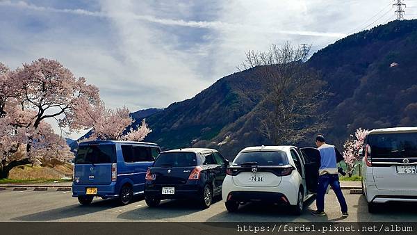 2023日本賞櫻自由行～美和湖