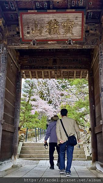 2023日本賞櫻自由行～長野縣光前寺