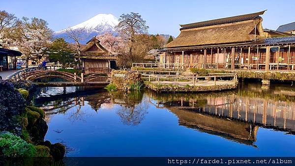 [遊記] 2023日本賞櫻自由行～忍野八海