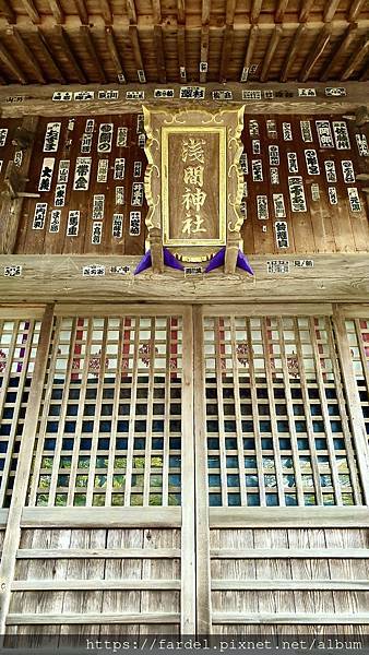 2023日本賞櫻自由行～山梨縣忍野八海