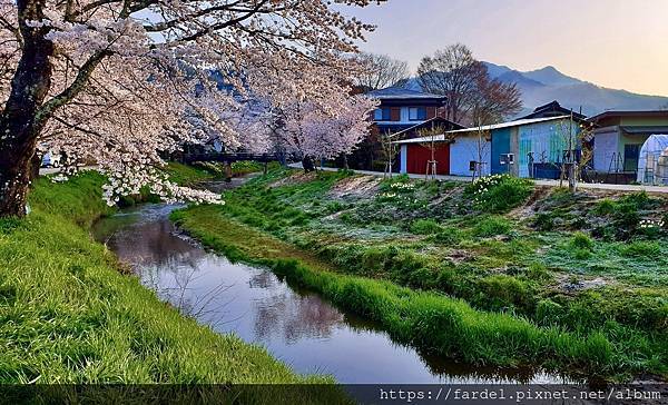 2023日本賞櫻自由行～山梨縣忍野八海