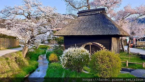 2023日本賞櫻自由行～山梨縣忍野八海