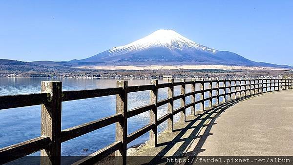 2023日本賞櫻自由行～此生必去富士山河口湖、山中湖