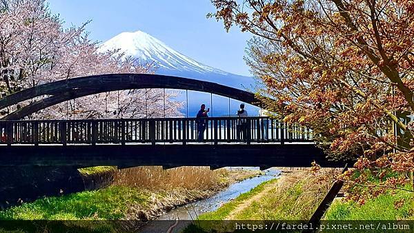 2023日本賞櫻自由行～此生必去富士山河口湖、山中湖