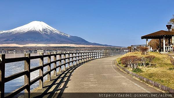 2023日本賞櫻自由行～此生必去富士山河口湖、山中湖