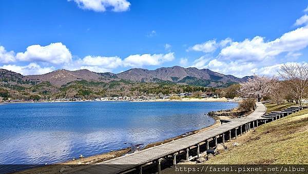 2023日本賞櫻自由行～此生必去富士山河口湖、山中湖