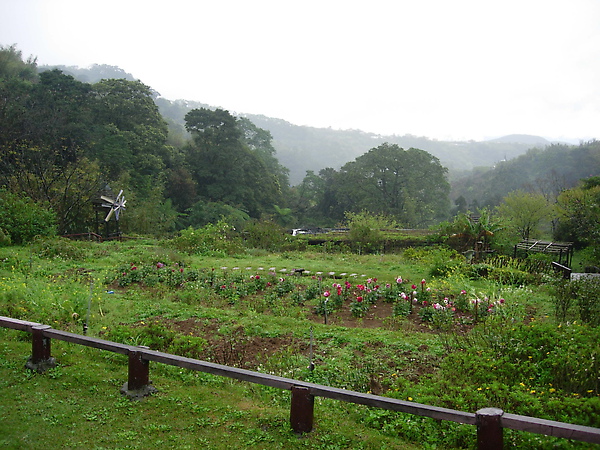 台北市-荷鋤茗園-5.JPG