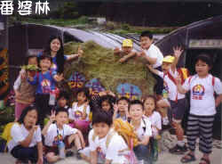 台北縣-番婆林觀光花園-2.jpg