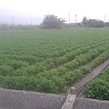 20130904_173952.jpg