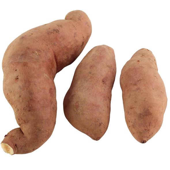 混血地瓜-栗子菱角-600 混血地瓜-栗子菱角-600