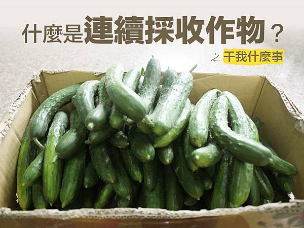 fb連續性採收-01 fb連續性採收-01
