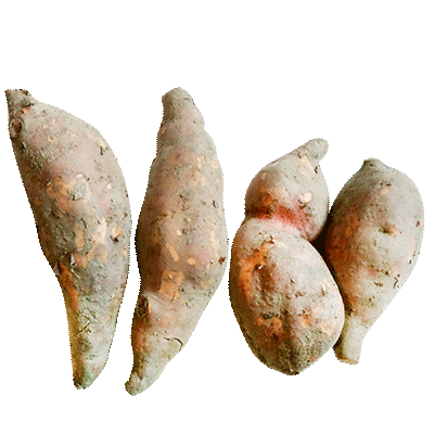 item_V6056 item_V6056