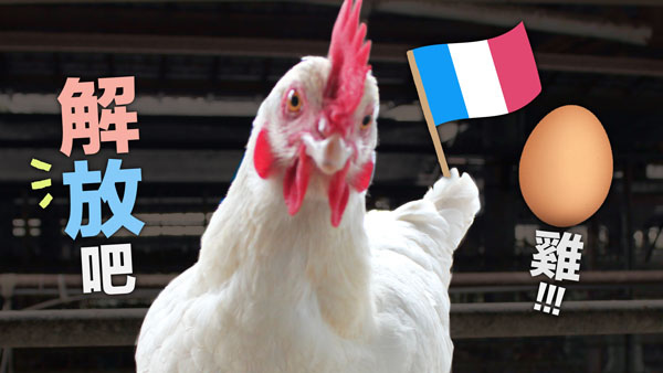 banner.jpg banner.jpg