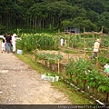 7月1日的假日