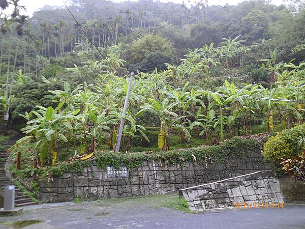 芭蕉園