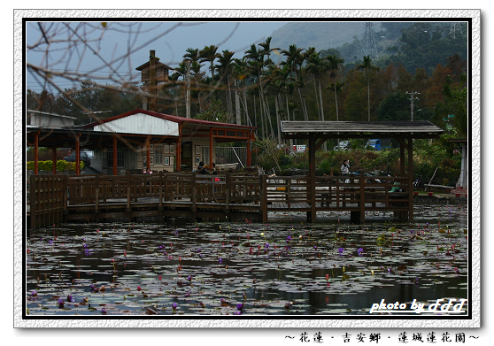 蓮城(遠景02).jpg