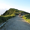 合歡山主峰登山道.jpg