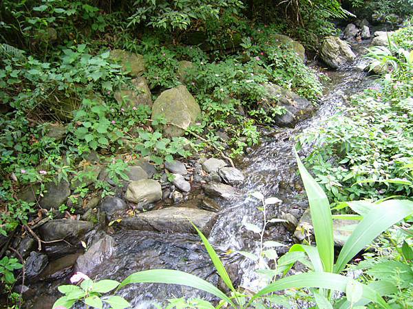 象鼻村露營