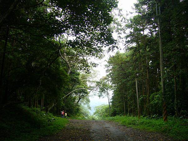 象鼻村露營