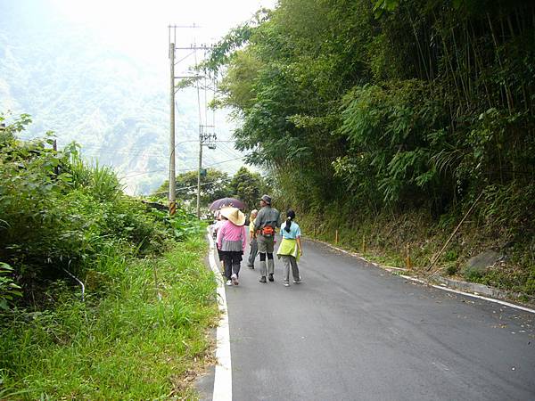 象鼻村露營