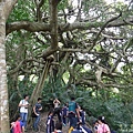 DSCF4699.JPG