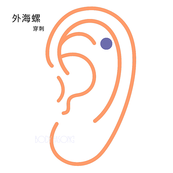 OuterConch外海螺穿刺