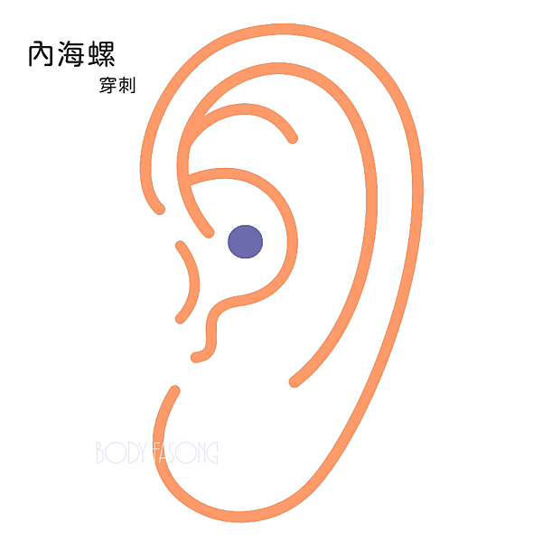 InnerConch內海螺穿刺