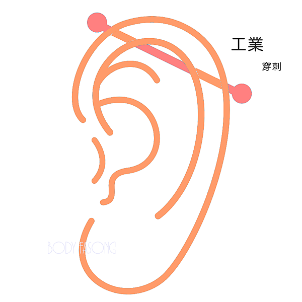 Industrai工業穿刺
