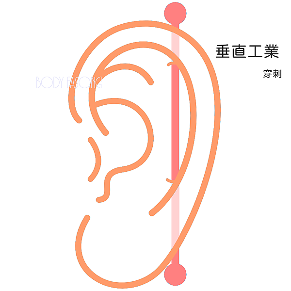 VerticalIndustrial垂直工業穿刺