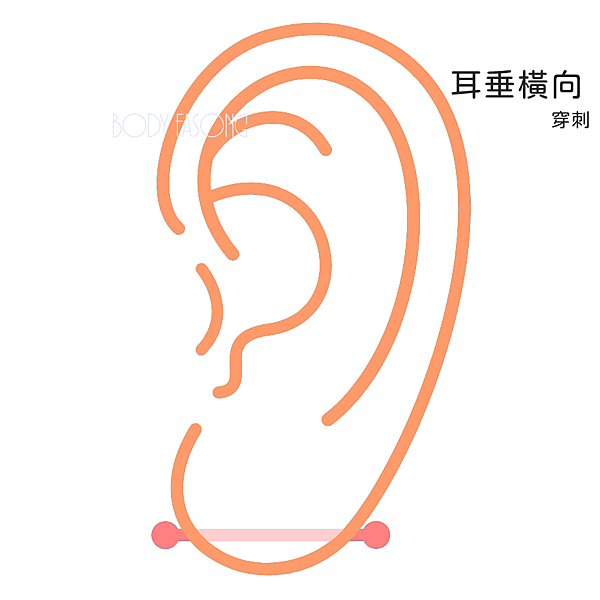 TransverseLobe橫耳垂穿刺