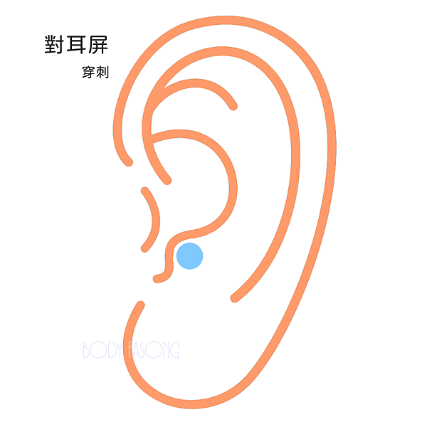 對耳屏Anti-Tragus